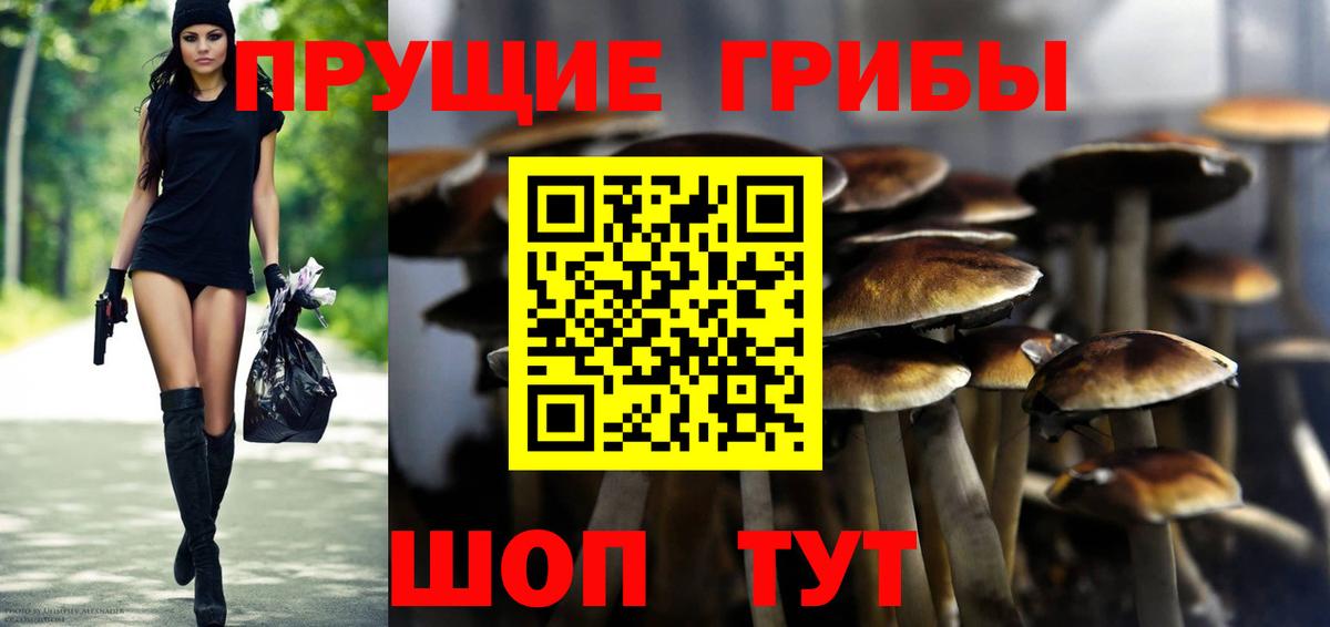 Псилоцибиновые грибы мухоморы  Вход с VPN  закладка  Чебаркуль  Галлюциногенные грибы GOLDEN TEACHER 